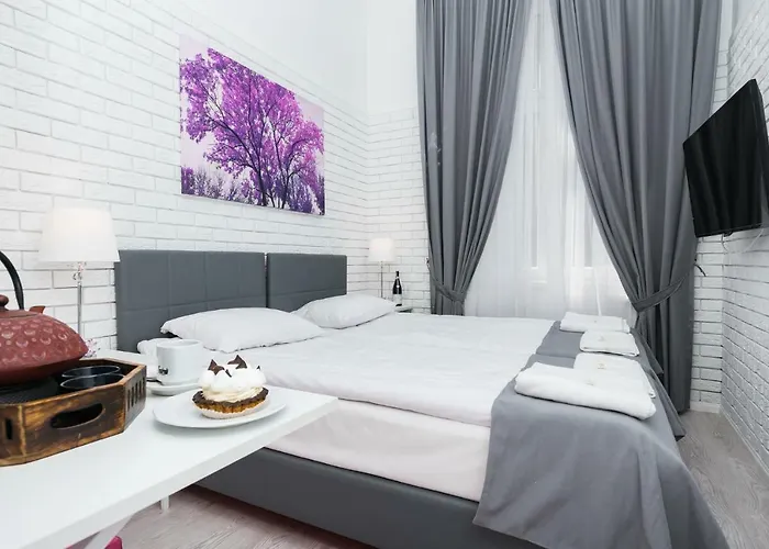 Salomea Appartement Cracovie